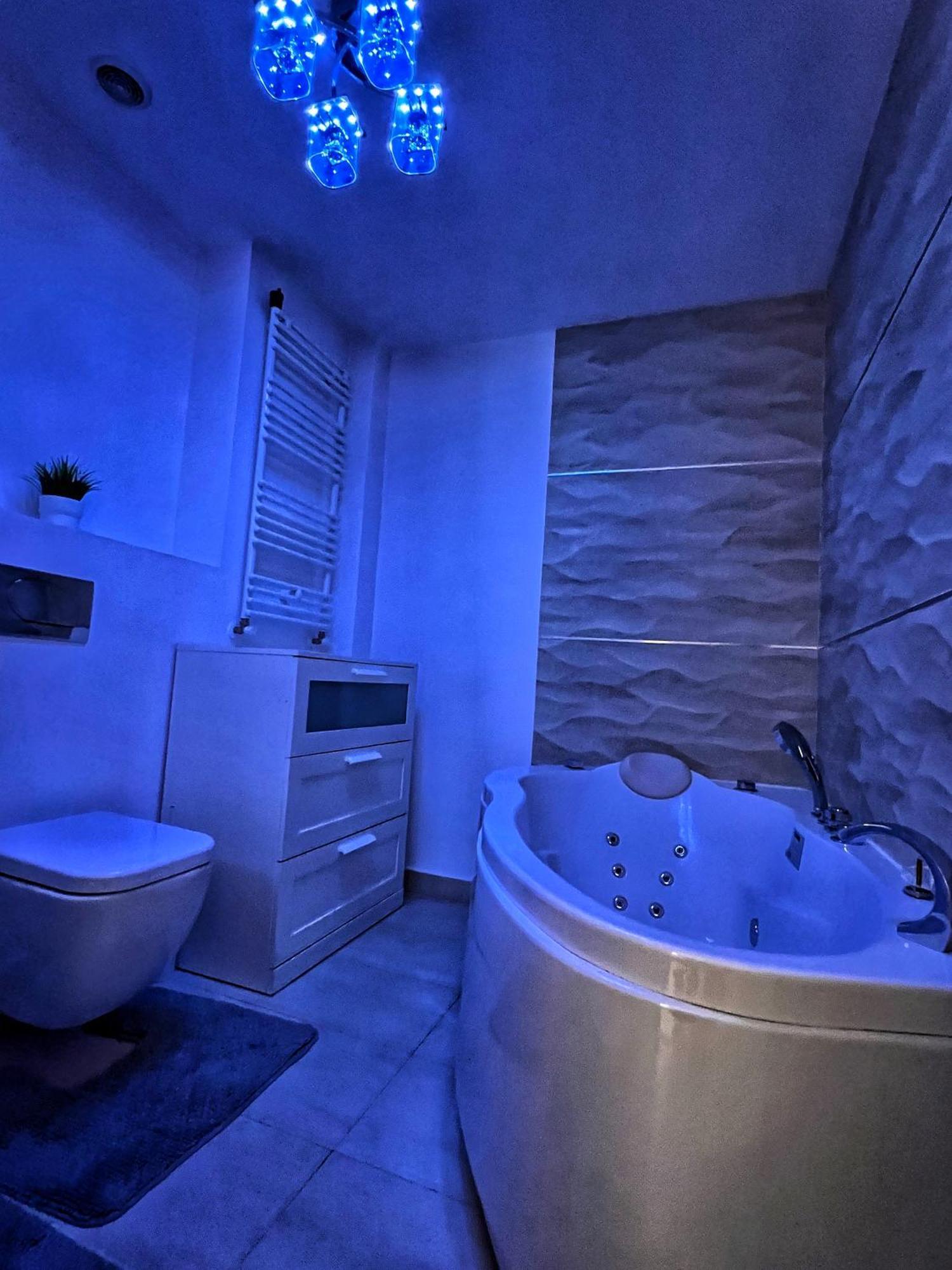 公寓 Amazing Park Residences 5 布加勒斯特